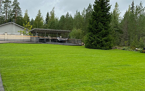 Laaja vihreä siirtonurmi istutettu takapihalle